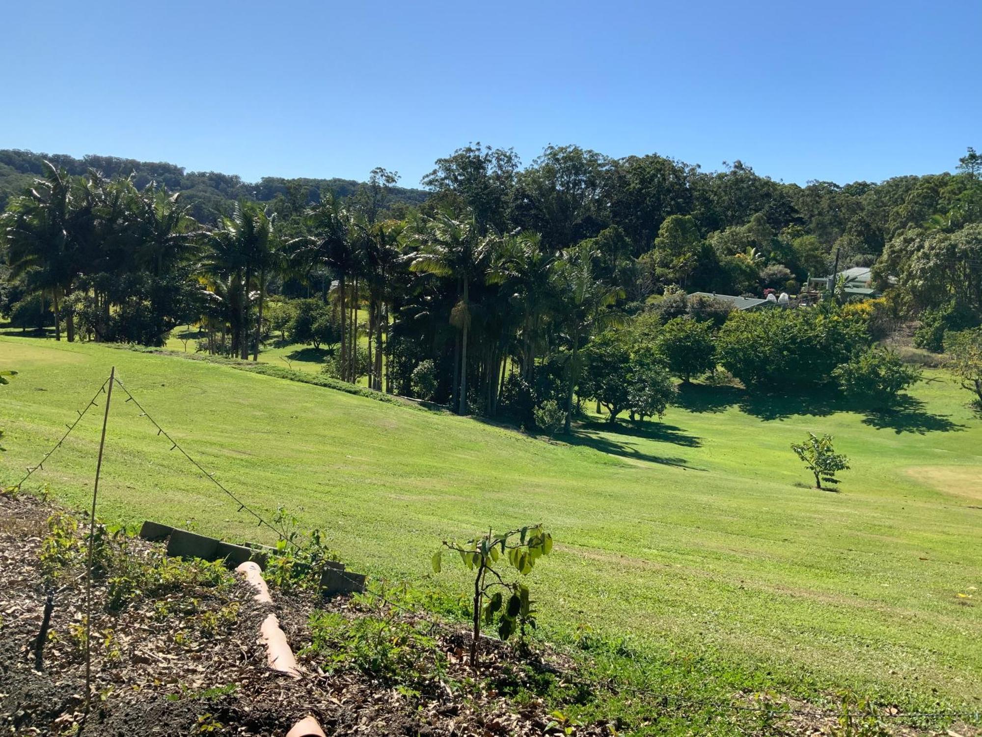 Sunshine Coast Retreat Your Own Private Golf Course Diddillibah Buitenkant foto