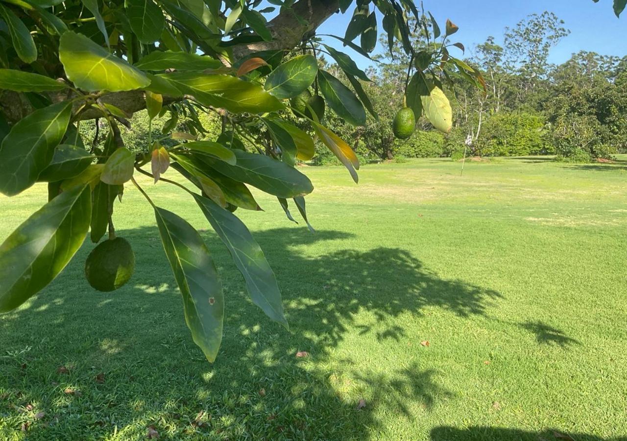 Sunshine Coast Retreat Your Own Private Golf Course Diddillibah Buitenkant foto