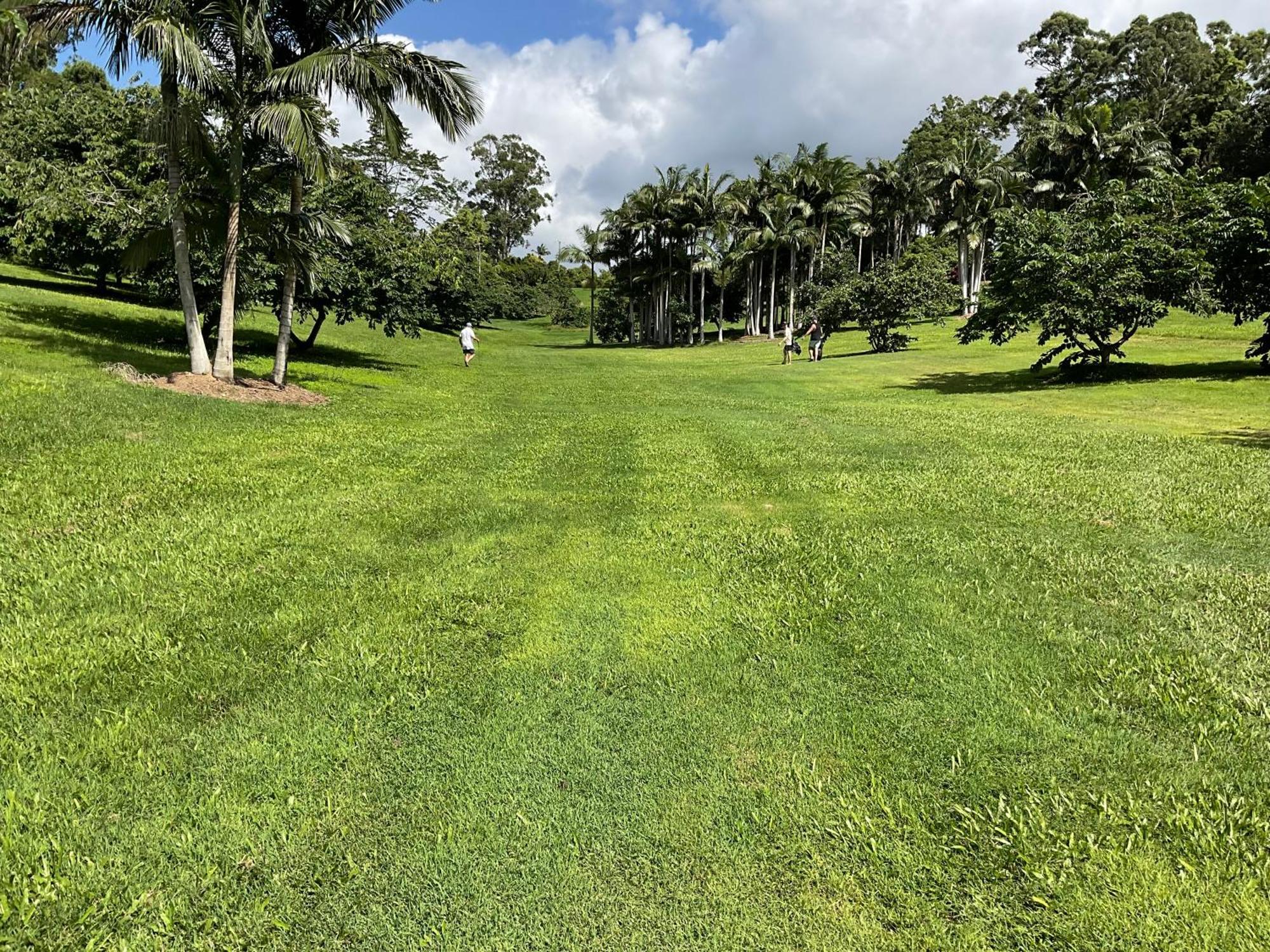 Sunshine Coast Retreat Your Own Private Golf Course Diddillibah Buitenkant foto