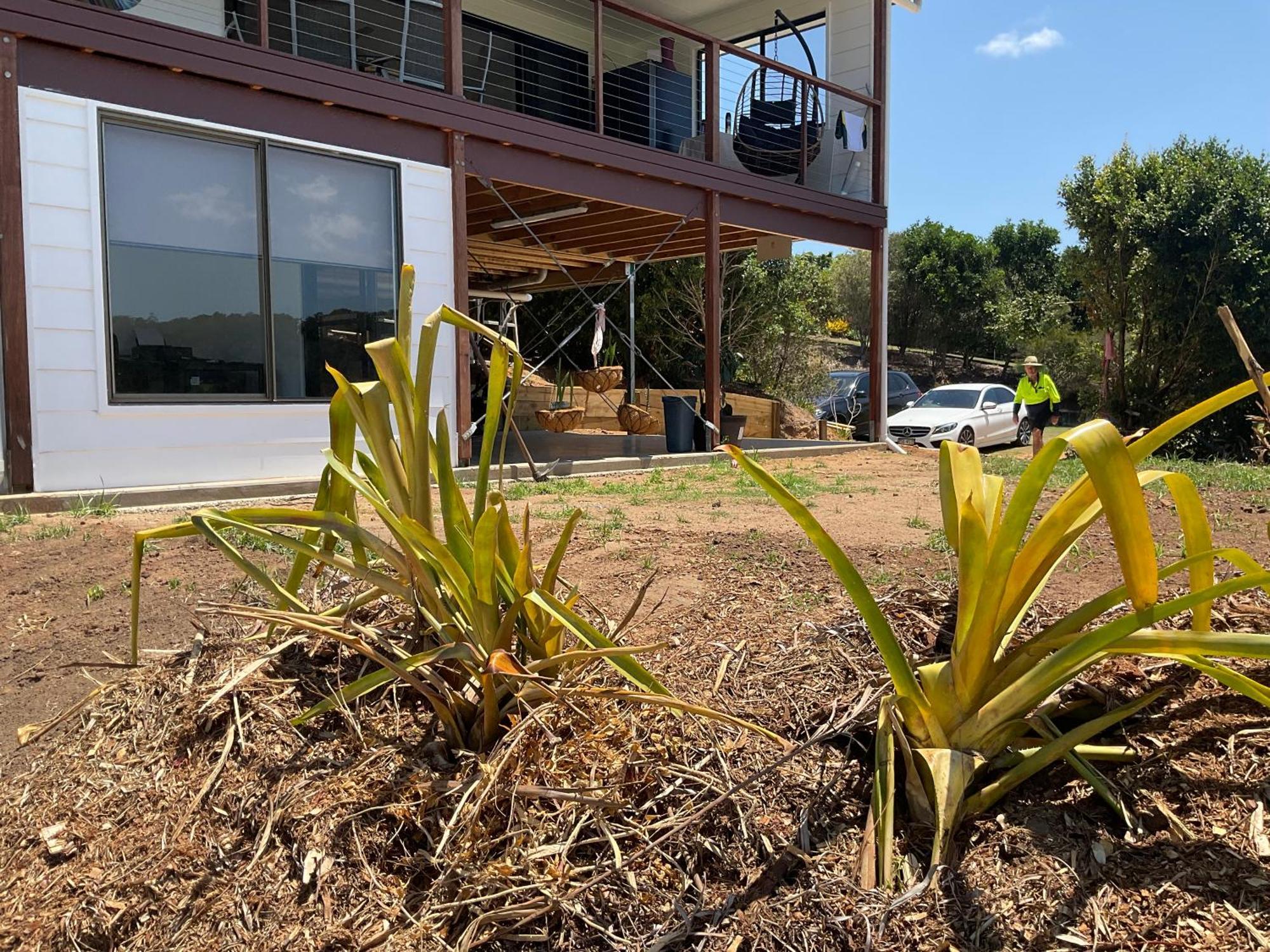 Sunshine Coast Retreat Your Own Private Golf Course Diddillibah Buitenkant foto